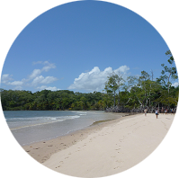 Strand an der Amazonasmündung